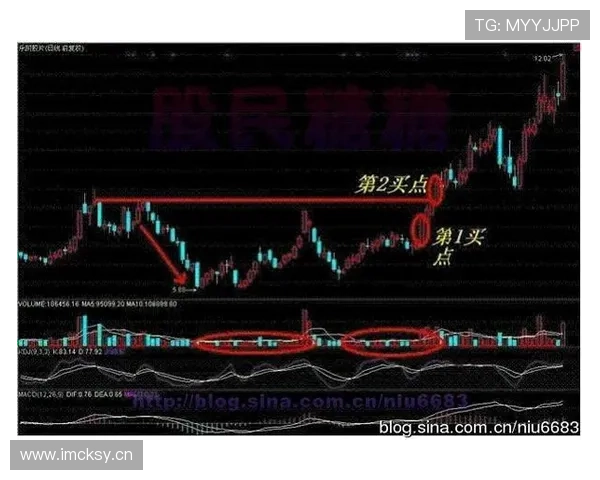 加纳能否重现2010辉煌 2026世界杯黑马潜力深度解析