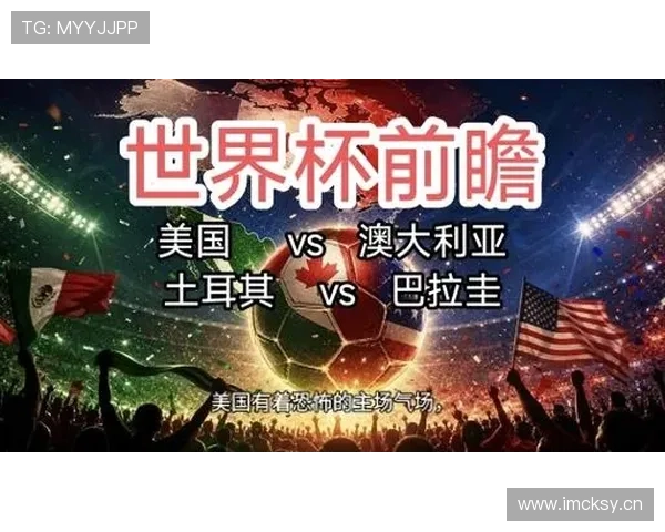 美国2-3土耳其:世界杯D组末轮战报